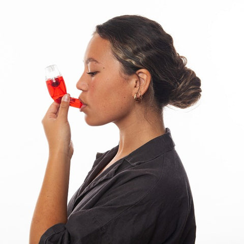 files/AirphysioLowLung2.jpg