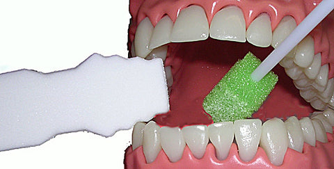 products/OWD-with-Toothette-in-dental-model.jpg